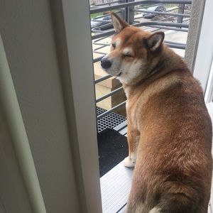 Meet your Posher, Berta